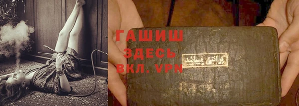 индика Магас