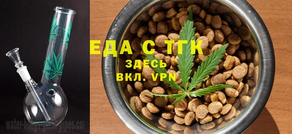 индика Магас