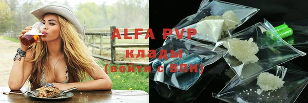 индика Магас