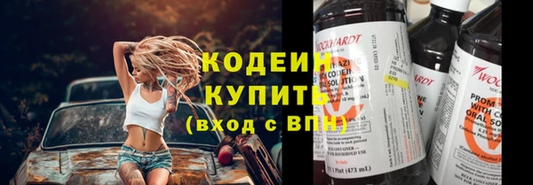 индика Магас