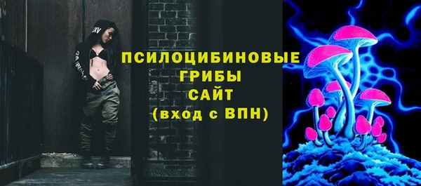 индика Магас