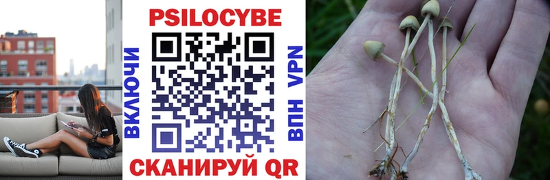 Псилоцибиновые грибы прущие грибы  как найти   Лермонтов 